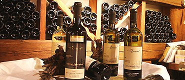 Wine bottles, © Weingut Drimmel Urbanuskeller