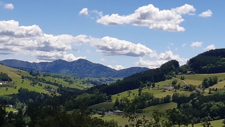 Vacation at the Nussbaumerhof, © Streißlberger Josef und Monika