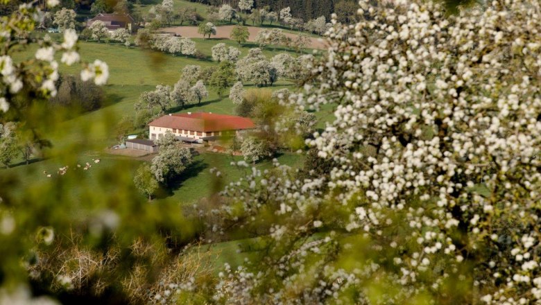 Photo point Seitenstetten Abbey, &copy; schwarz-koenig.at