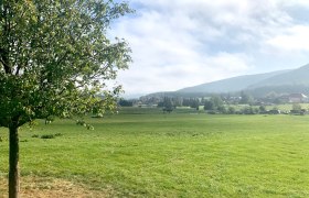 Legelő Oberbergernben, &copy; Radler-Rast