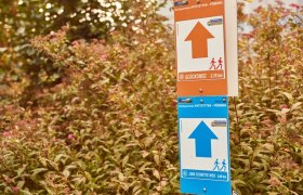 Beschilderung der Rundrouten in den Gemeinden, © Donau Niederösterreich / Klaus Engelmayer