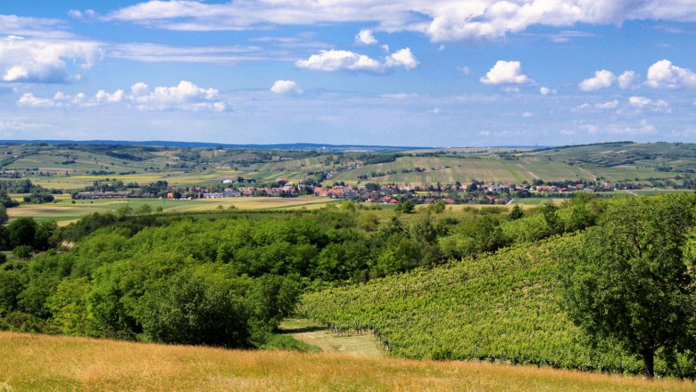 Vineyards, &copy; Gemeinde Alberndorf