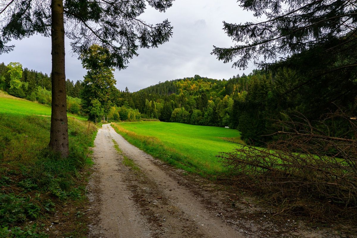 Traunfellner út