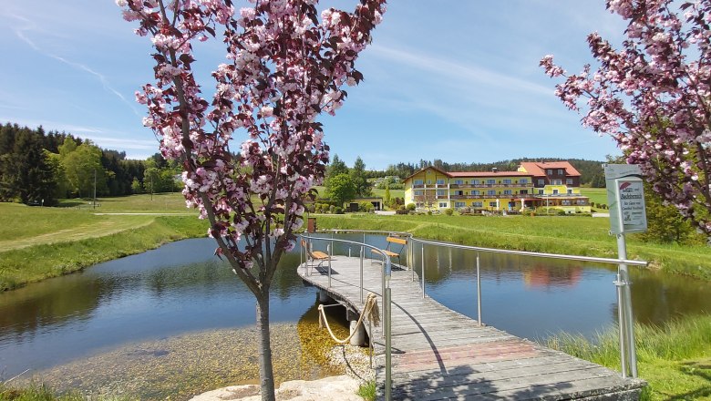 Bathing pond1, &copy; Gasthof Nordwald