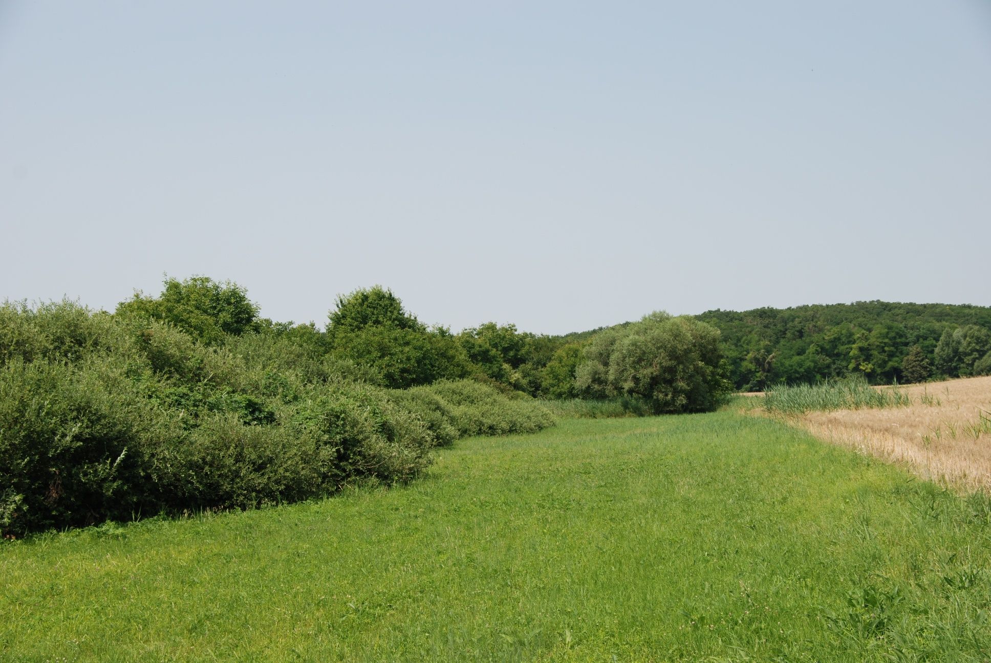 Obergrundwiese fürdőtó