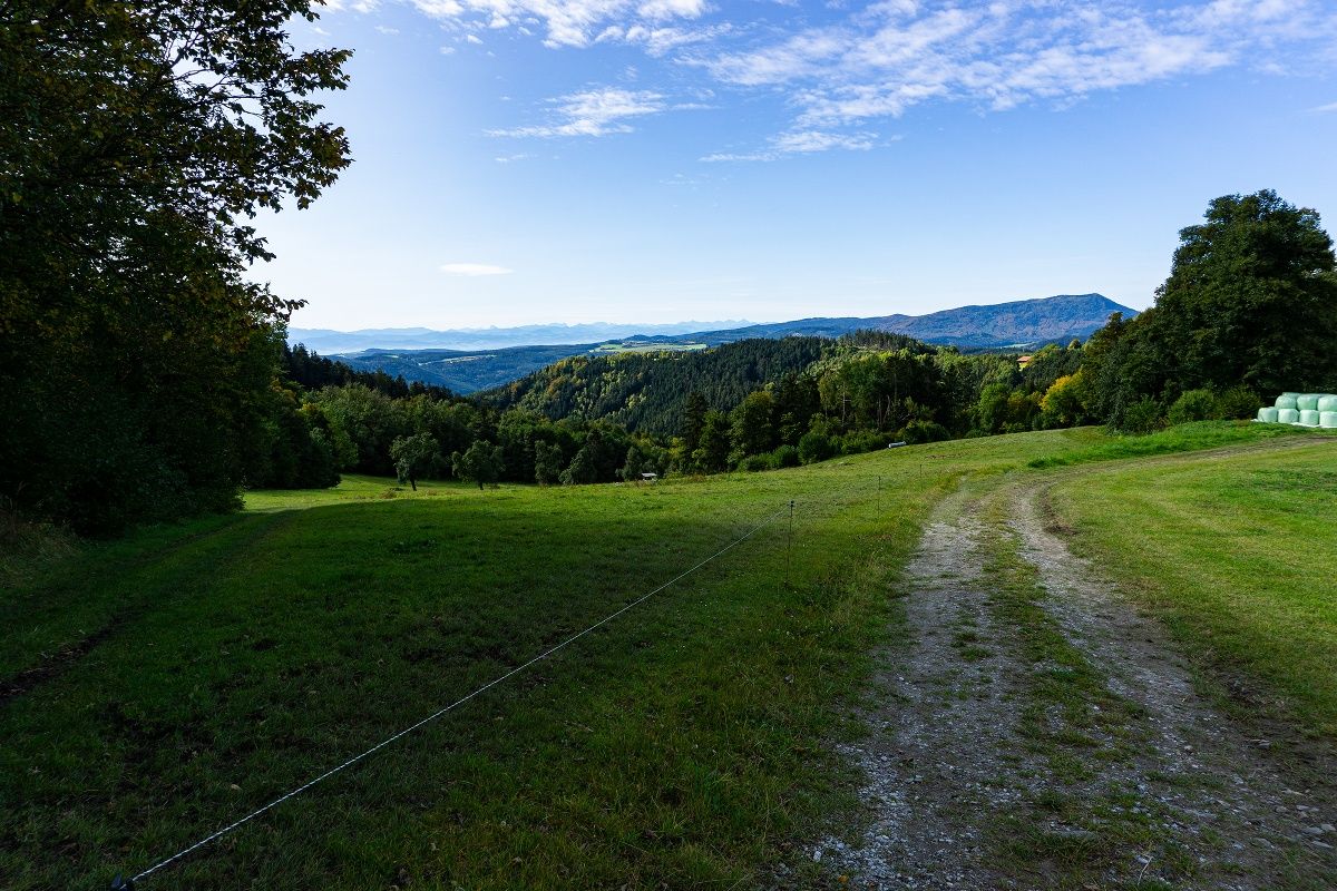 Kilátás vissza az Ostrongra