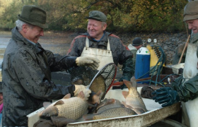 F&uuml;rstenberg fish, &copy; Florian Kainz/Archiv Aqua
