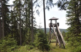 High moor Große Haide observation tower, © Reinhard Nieder