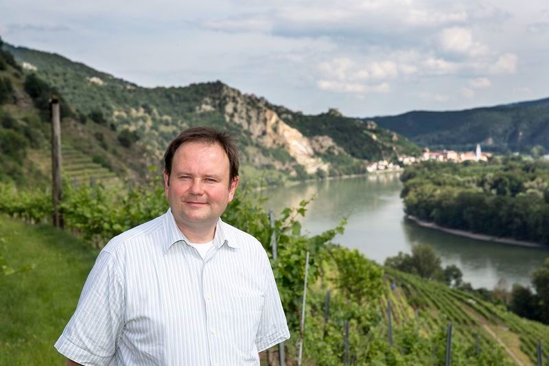Szőlőben álló férfi, a háttérben folyó és dombok.