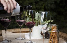 CM_Kellergasse_Prellenkirchen(c)Donau Niederösterreich_Barbara_Elser20251007_0012, © Donau Niederösterreich, Barbara Elser