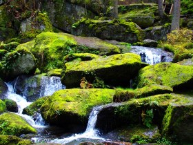 Lohnbachfall, &copy; Waldviertel Tourismus