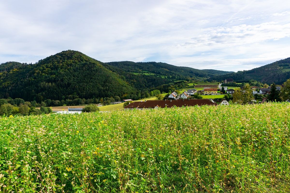 Kilátás Mandlgupfra, Hinterbergre és a Szent Anna templomra