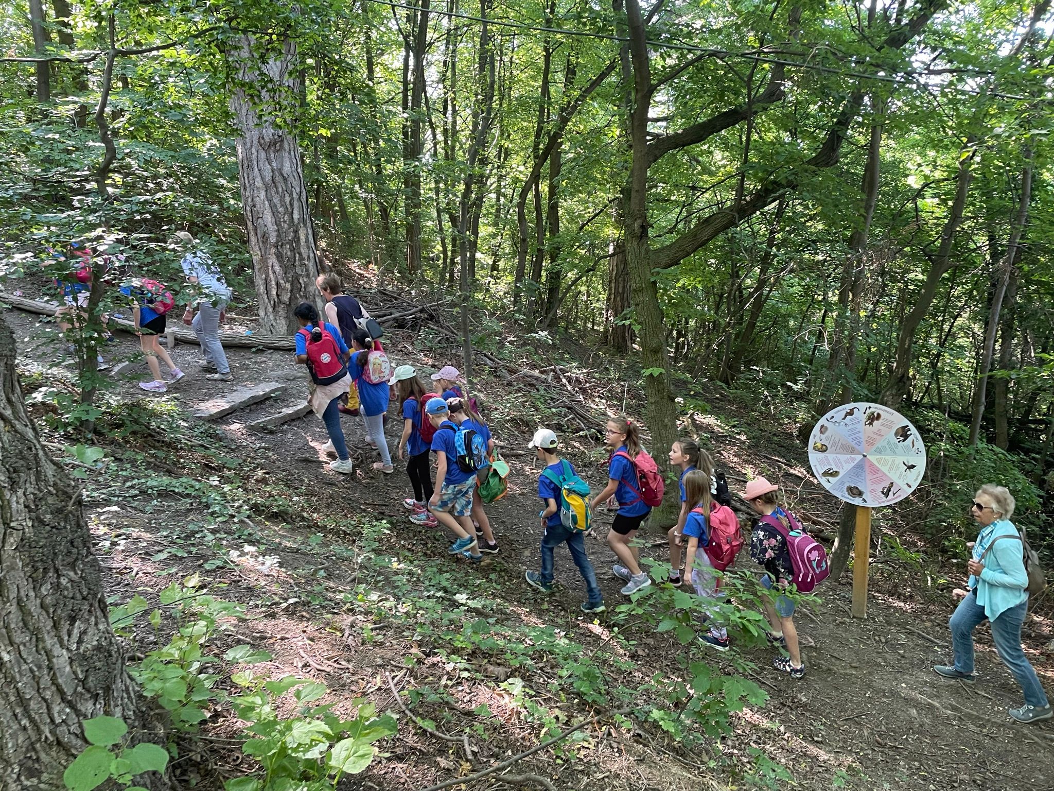 Természetvédelmi park az erdőben - Josefspark 3