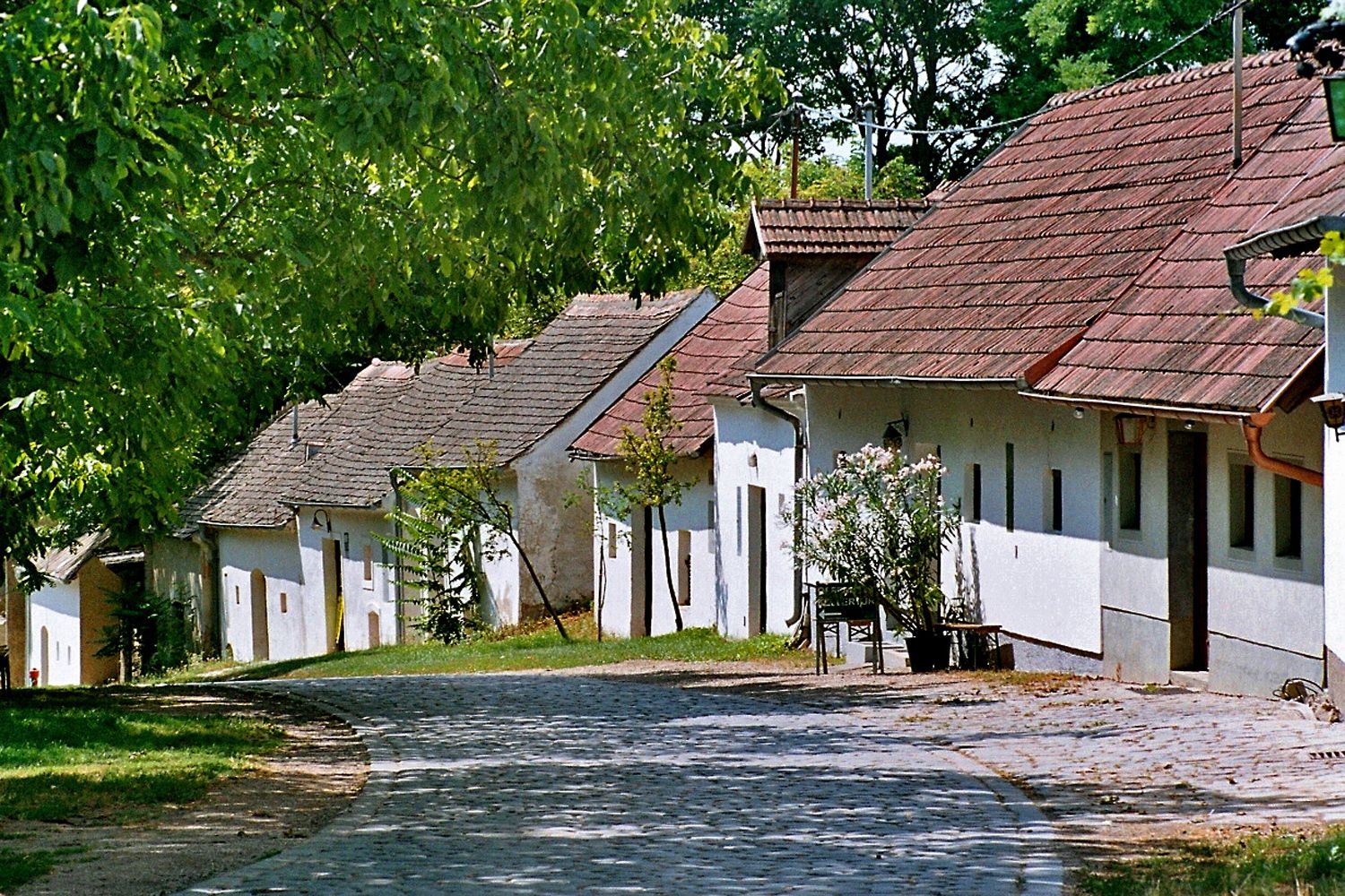 Festői pincesor régi, fehér borospincékkel és macskakövekkel Pillichsdorfban, zöld fákkal körülvéve.