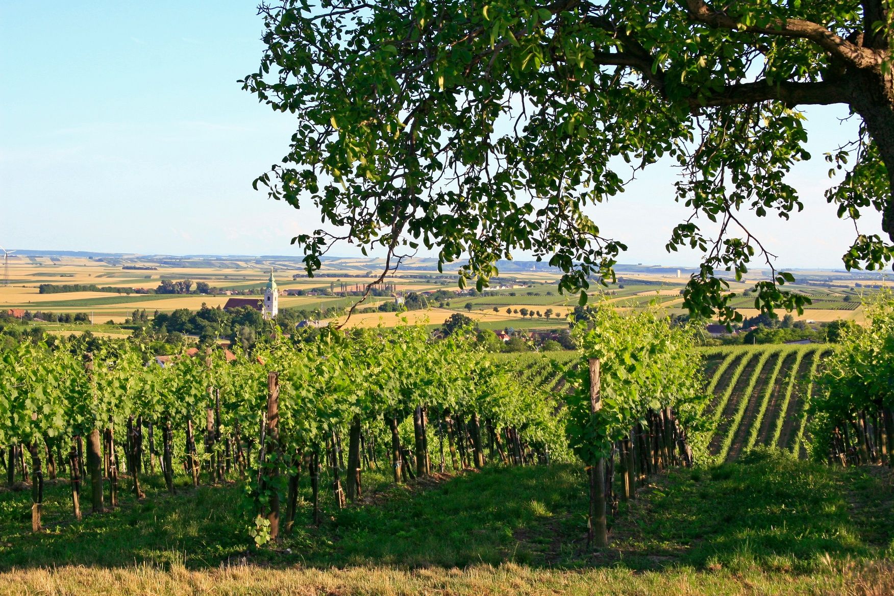 Unterretzbacher Marterlwanderweg