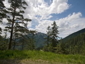 Blick zur Voralpe, &copy; Mostviertel