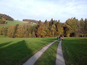 Weg zum Zailachhof, &copy; Mostviertel