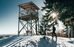 Viewing platform on the forest adventure trail in Gschaidt, &copy; Nieder&ouml;sterreich Werbung, Tereza Bokrov&aacute;