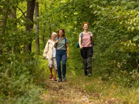 Durch den Wald, &copy; Wachau-Nibelungengau-Kremstal