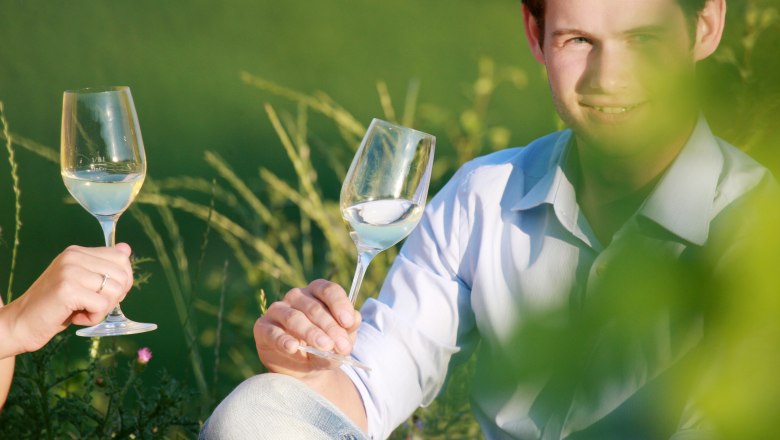 Traisental, &copy; weinfranz.at