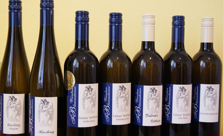 Viticulture Blauensteiner, &copy; Weinbau Blauensteiner