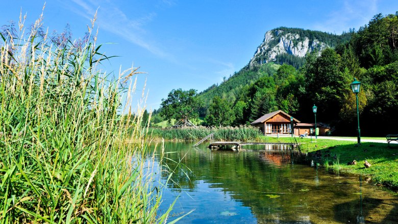 Summer in the Falkenstein Nature Park, Schwarzau im Gebirge, &copy; Naturparke Nieder&ouml;sterreich/Robert Herbst