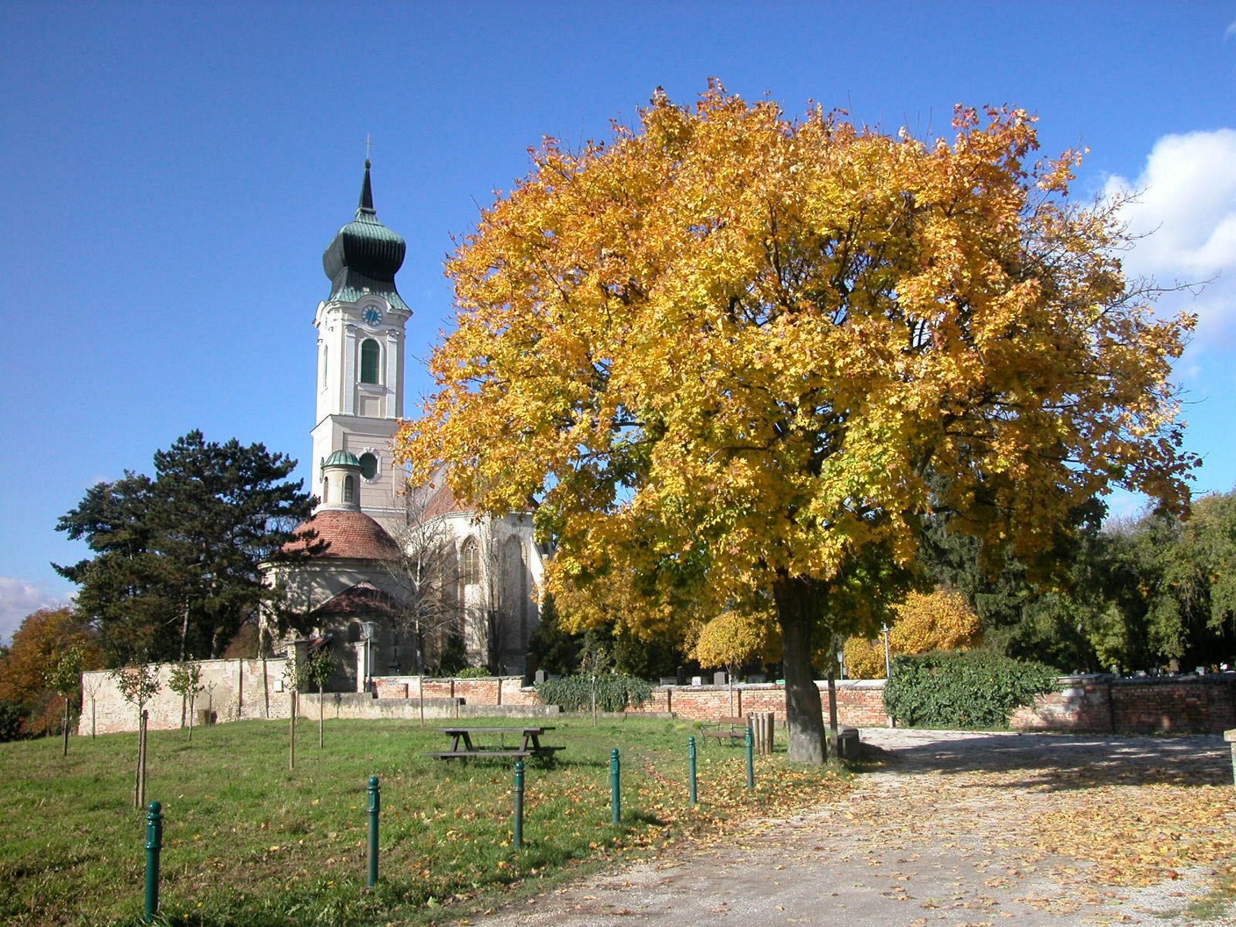 Templom toronnyal és őszi fával az előtérben.