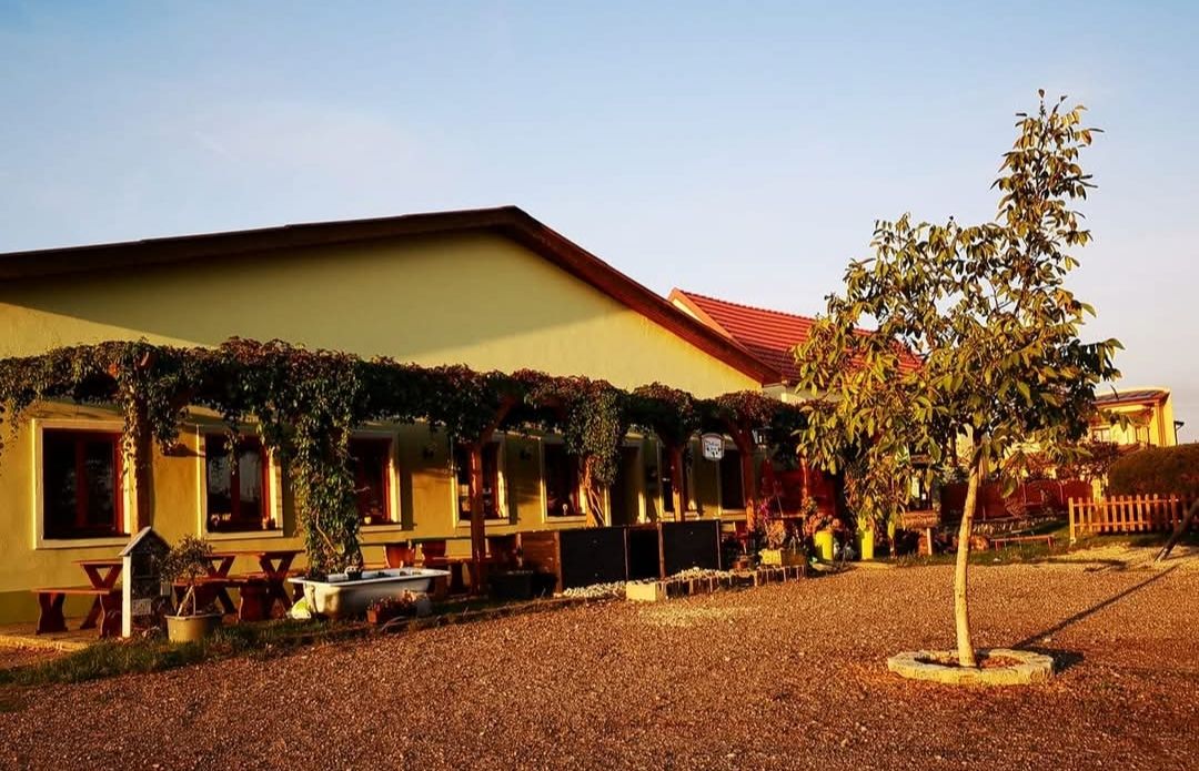 Sárga épület terasszal, szőlővel és fával az előtérben naplementében.