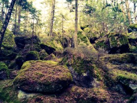 Felsformation Frauhaus, &copy; TDW