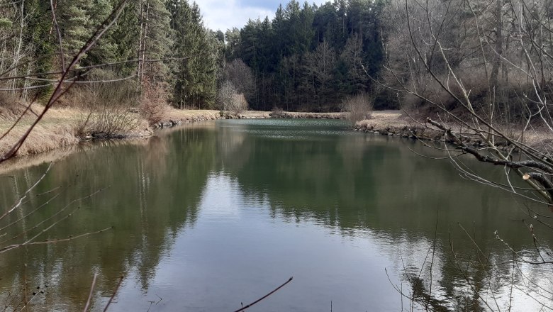 20200303_151701, &copy; Gemeinde P&ouml;lla