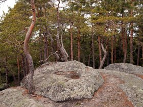 Stierberg, &copy; Marktgemeinde Langschlag