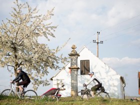 Radfahren im Retzer Land, &copy; Weinviertel Tourismus / Bartl