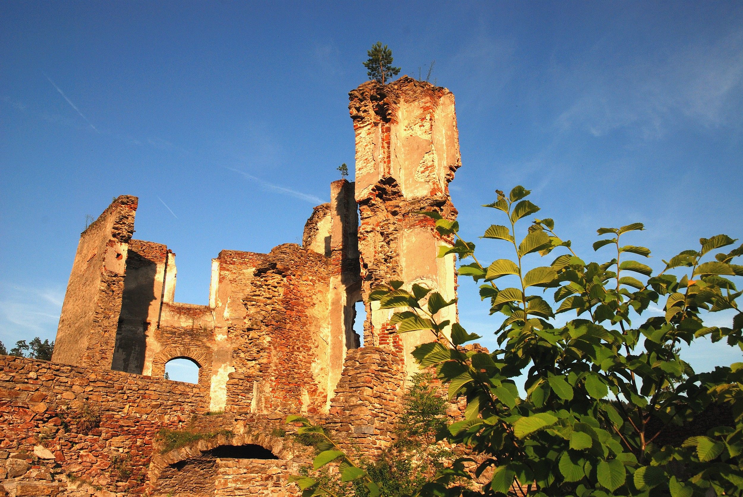 Ruine Kollmitz