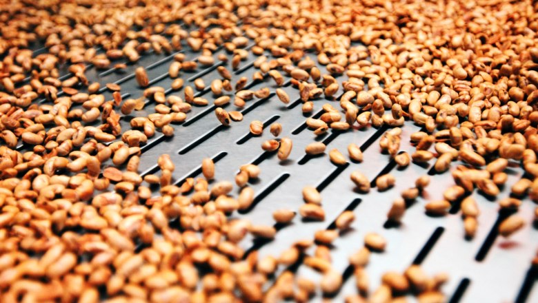 Landgarten snack store, production, &copy; Landgarten