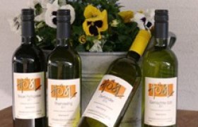 Wine bottles, &copy; www.hoesl.com