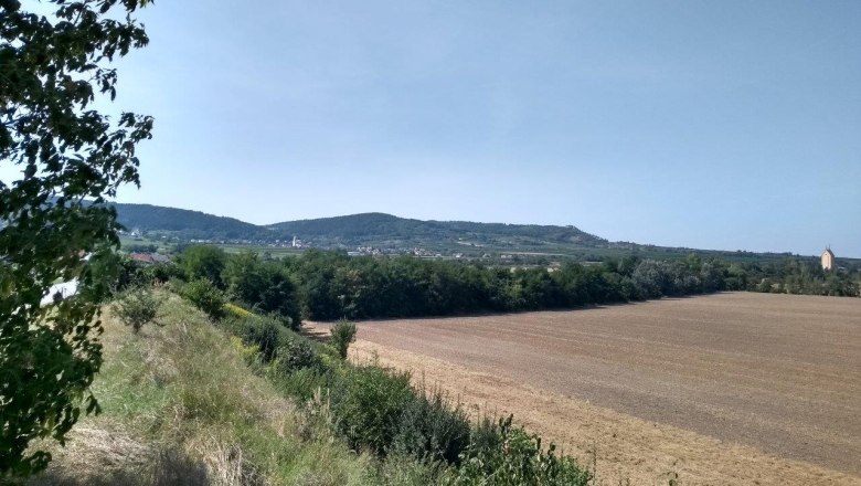 The Bronze Age cemeteries in Franzhausen, &copy; Franz Pieler
