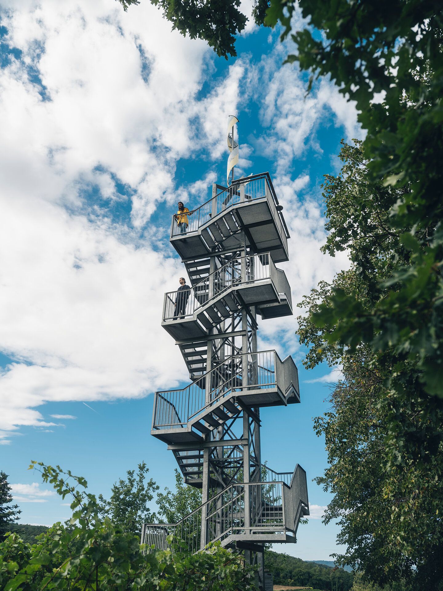 Közelkép piros bogyókról egy csupasz ágon, a háttérben hó.