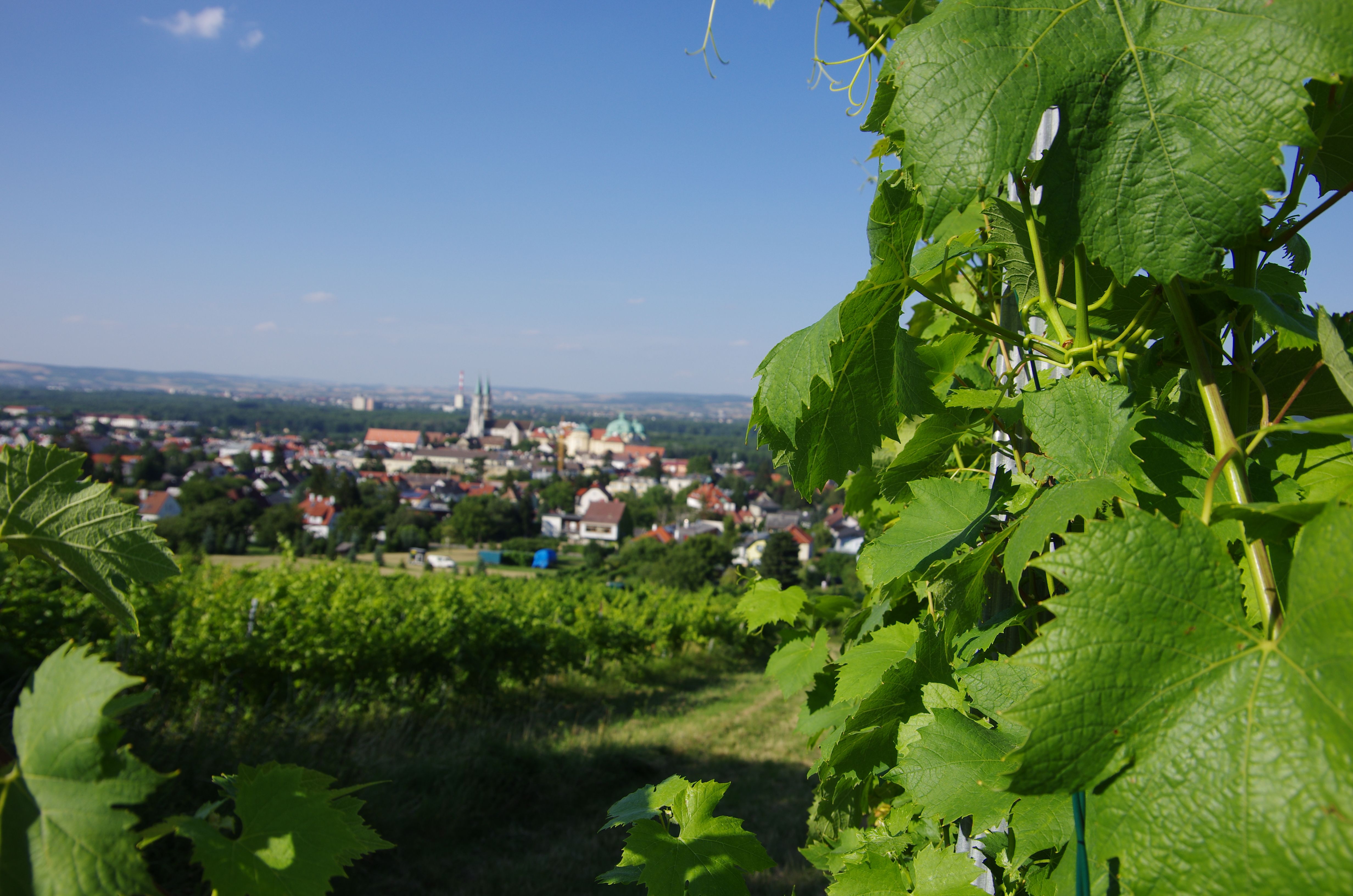 Klosterneuburg