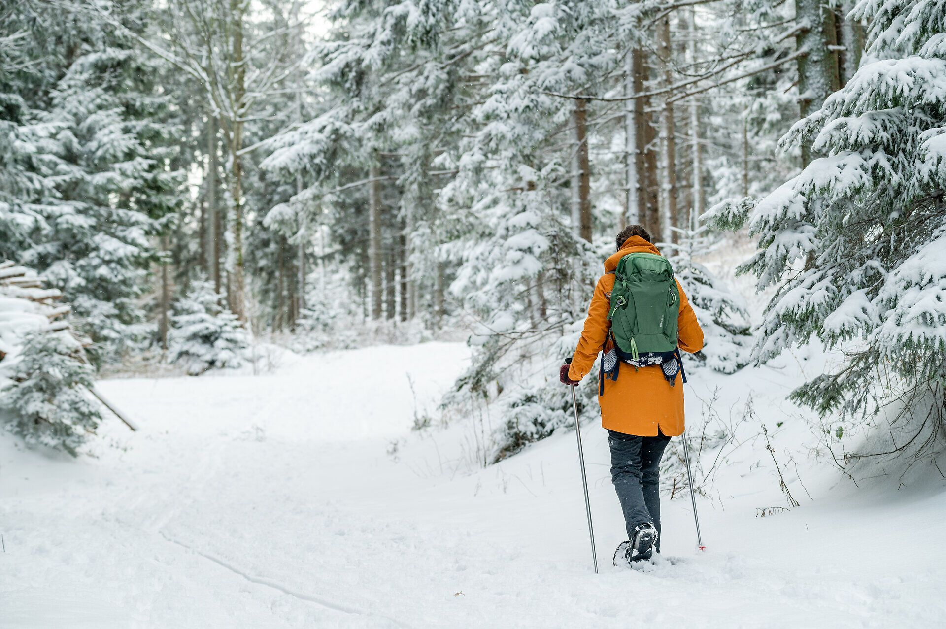 In der verschneiten Winterlandschaft der Buckligen Welt gleitet ein Wanderer mit Schneeschuhen durch den glitzernden Schnee. Die majestätischen Fichten umrahmen den Weg und schaffen eine friedliche Atmosphäre, die zum Verweilen einlädt. Ein unvergessliches Erlebnis inmitten der Wiener Alpen.