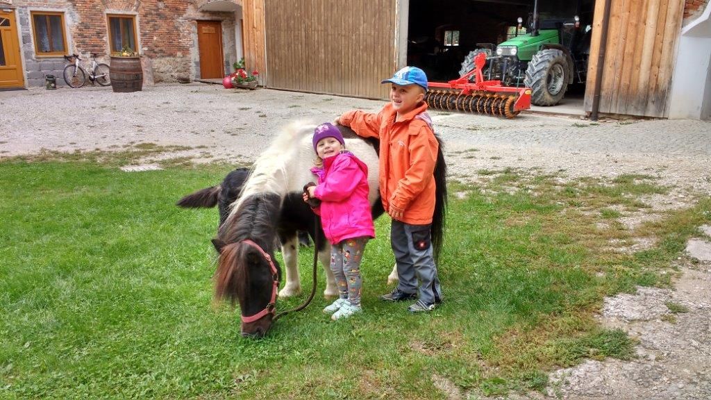 Pony