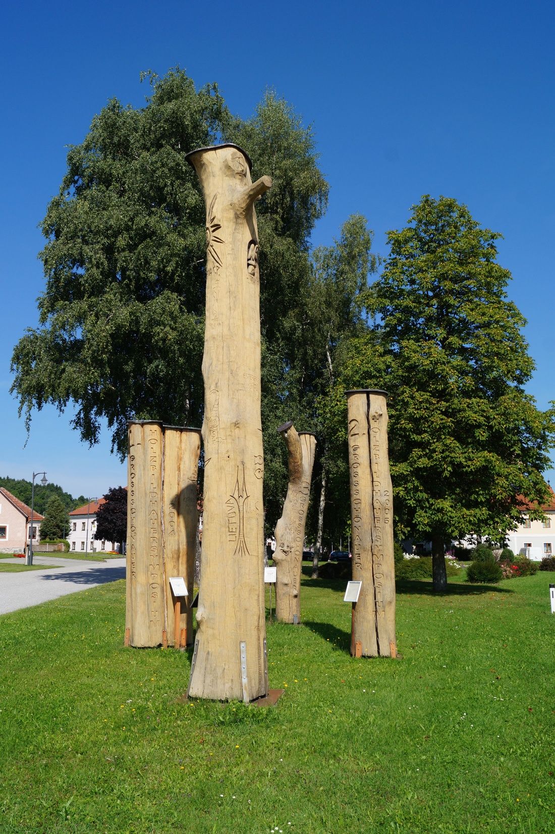 Szimpózium fák