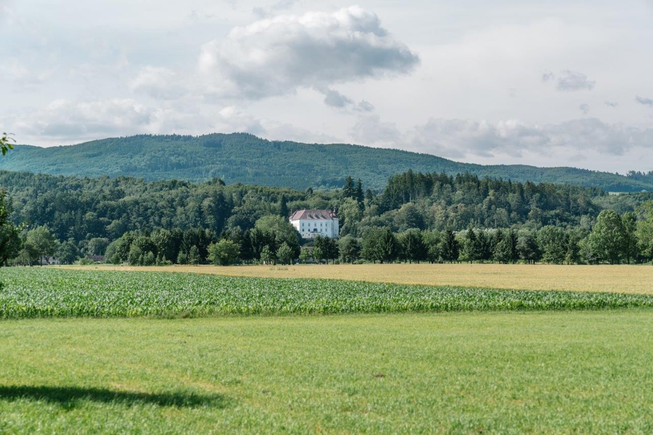 Kertész háza 