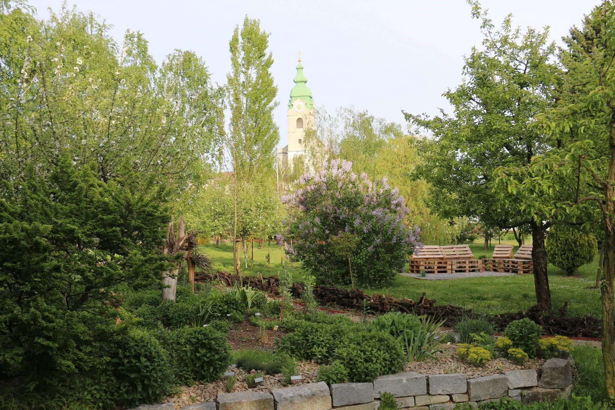 Zöld kert fákkal, bokrokkal és a háttérben egy templomtoronnyal.