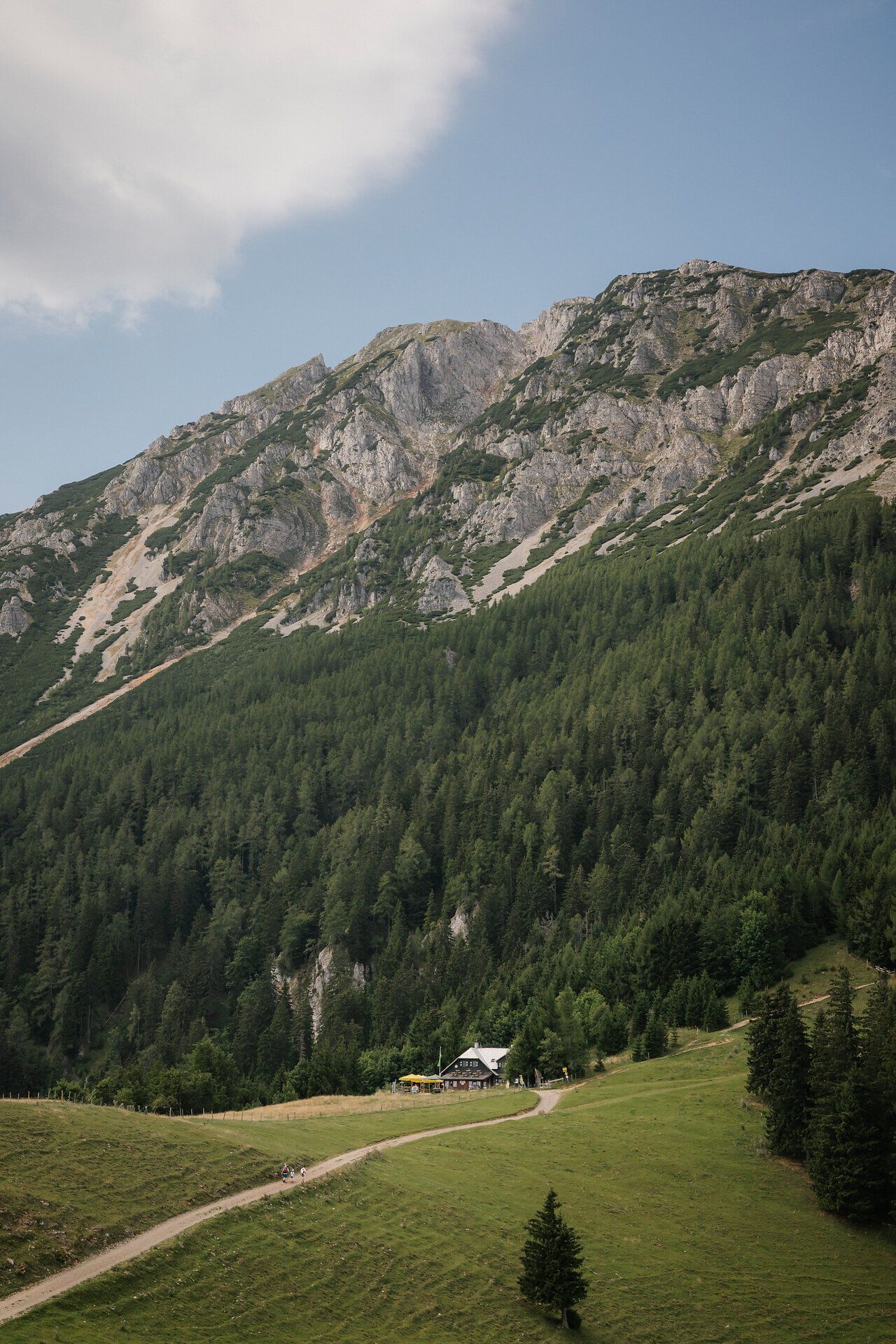 Az Edelweißhütte a Schneeberg-en, az erdő és a sziklahegyek között