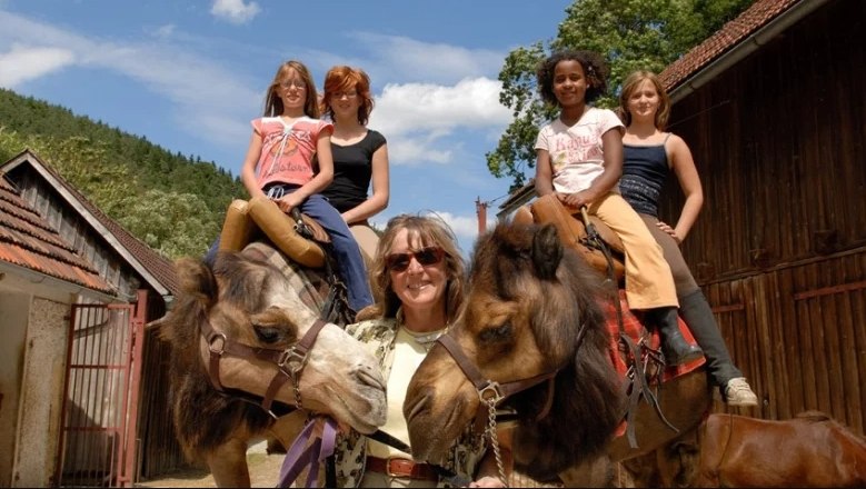 Camel riding, &copy; 1. &Ouml;sterreichische Kamelreitschule