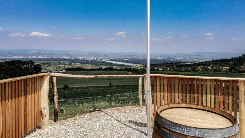 Vineyard snail Outlook, &copy; HanSu.Foto.Design