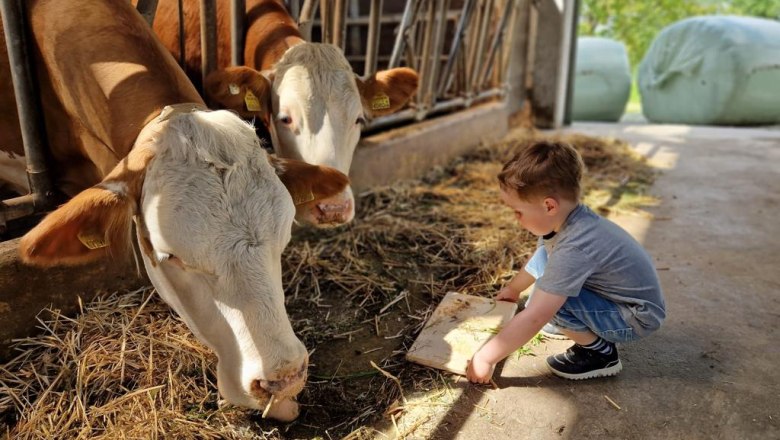 Milk love, Wegbauernhof, &copy; Helen Brandstetter