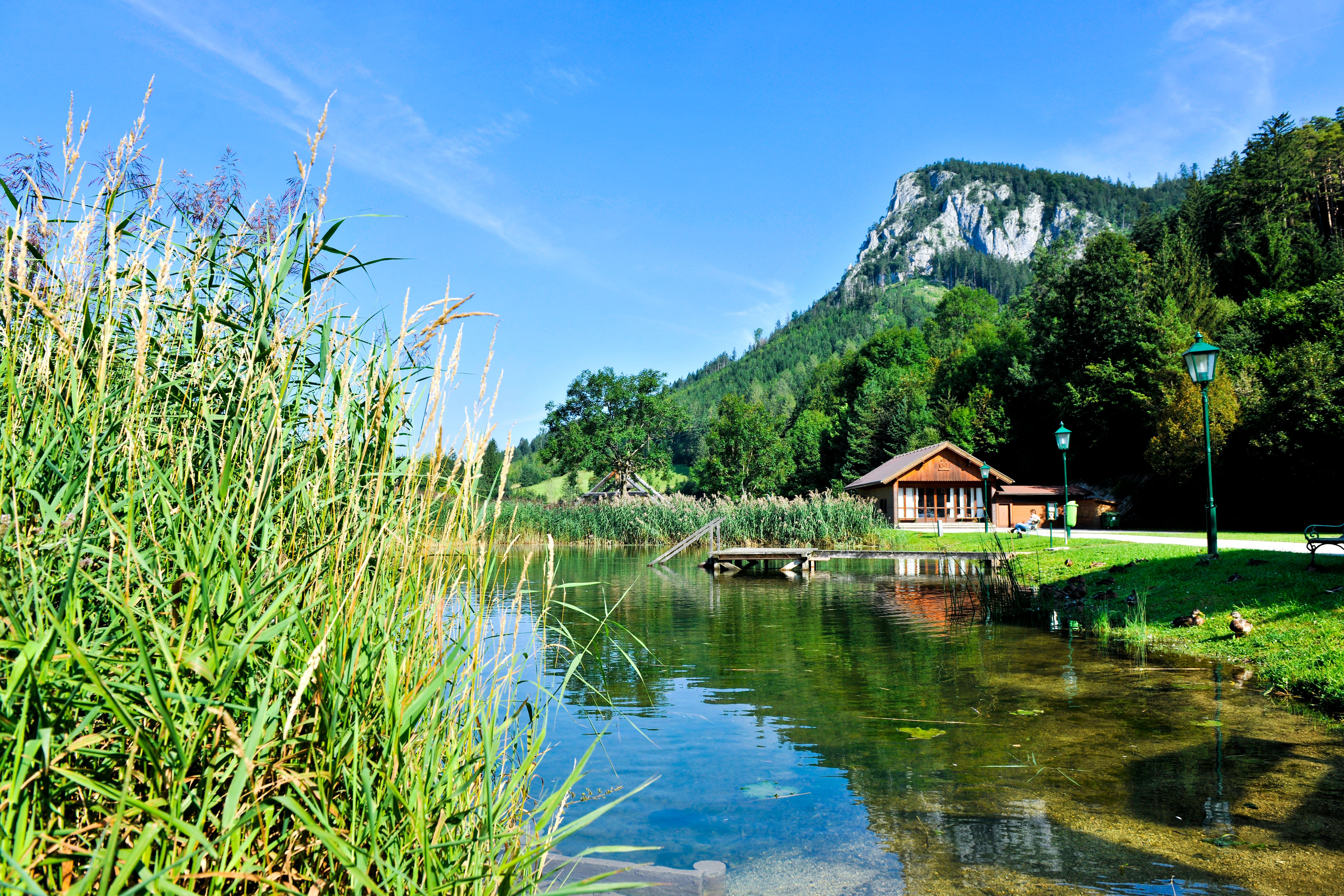 Egy nádas tó, egy fából készült gyaloghíd és egy ház a Falkenstein Natúrparkban, erdős hegyekkel körülvéve.