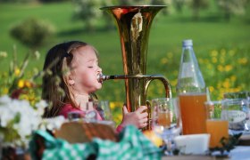 Organic farm Aichberger, &copy; weinfranz.at