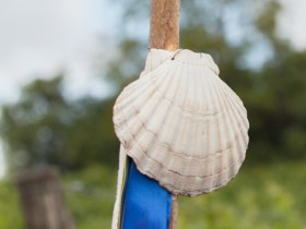 Jakobswegmuschel, &copy; Weinviertel Tourismus / Lahofer